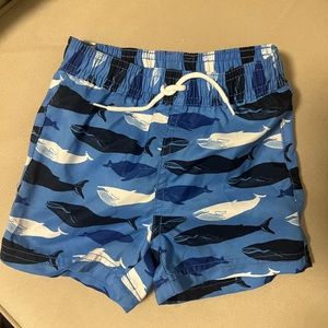 Janie & Jack Swim trunks